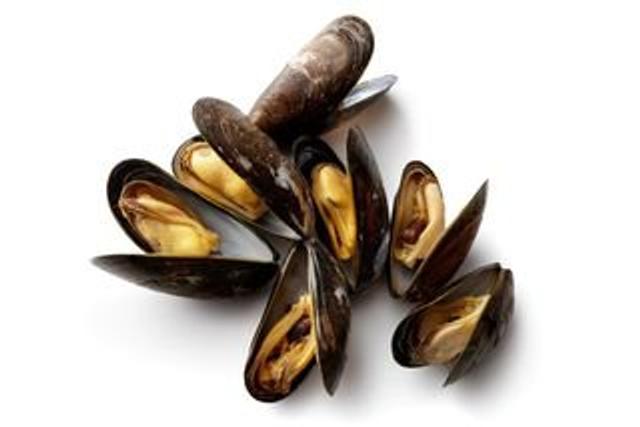 Het verhaal van de mossel