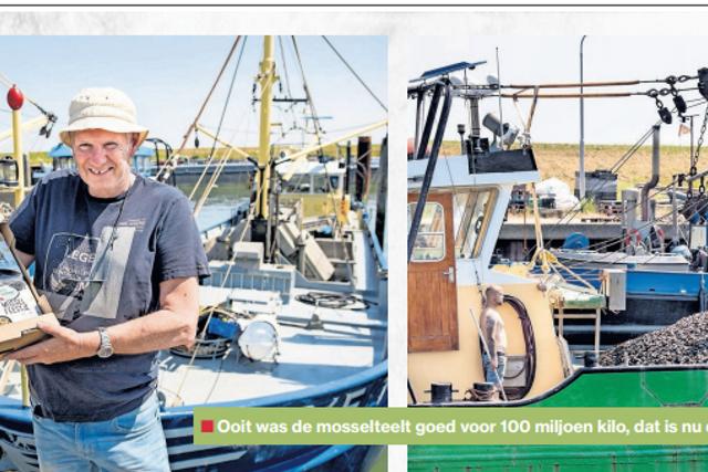 Mossel "kan de wereld redden"